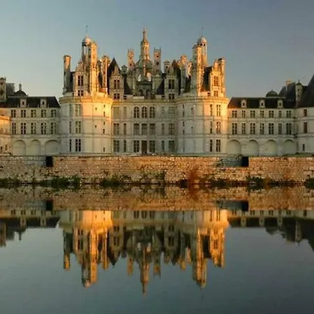 Gite De L'Oisilliere Huisseau-sur-Cosson Exterior photo